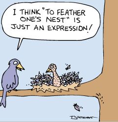 Cartoon-Birds-Nesting